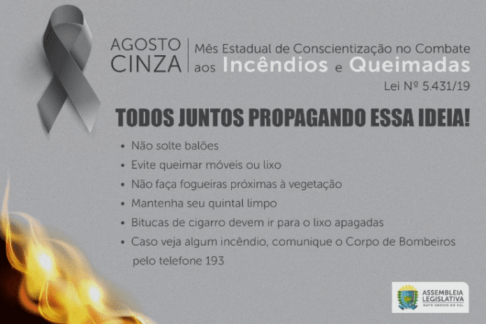 queimadas 2 lei cinza