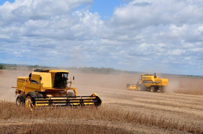 amp-colheita-de-soja-foto-alvaro-rezende-730x4806701841750512922490