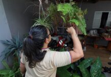 Secretaria de Saúde alerta para prevenção contra a dengue e chikungunya no Carnaval