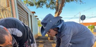 Sesau orienta vacinação após casos de raiva em morcegos