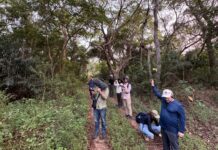 Relações ecológicas são transformadas em criação musical no projeto internacional Pantanal Sounds